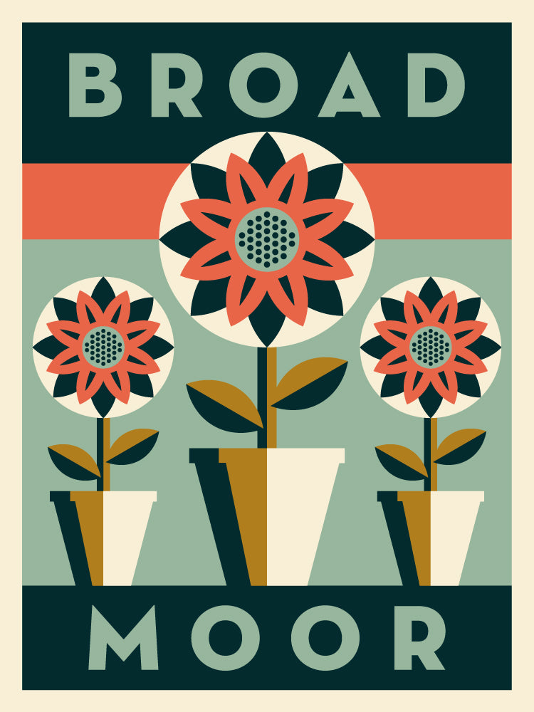 Broadmoor Neighborhood Poster