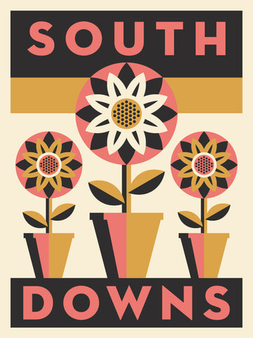 South Downs Neighborhood Poster